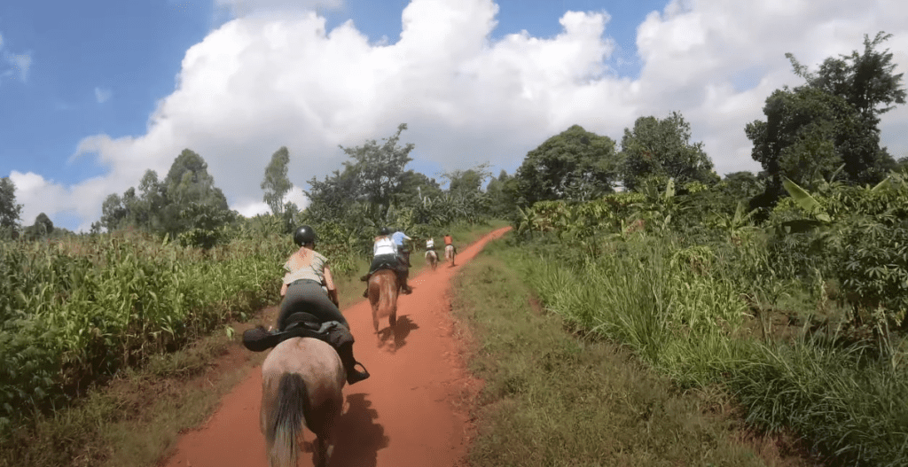 safari à cheval au lac mburo